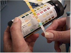 Multistix250.jpg (17077 bytes)