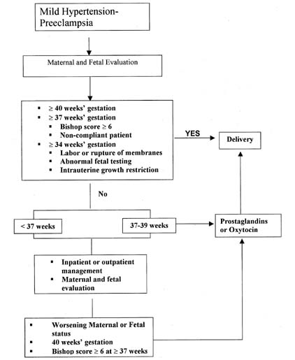 Preeclampsia Protein Levels Chart