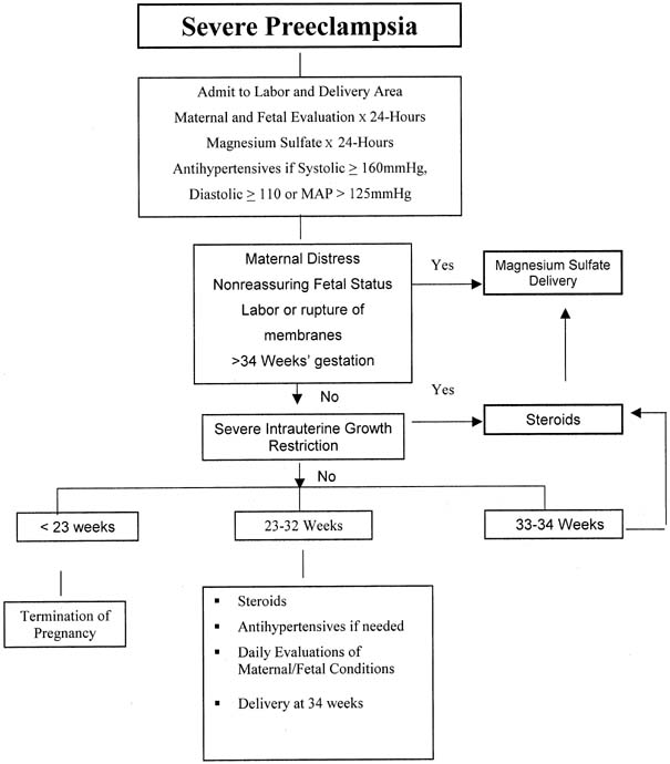 Pathophysiology Of Preeclampsia In Flow Chart