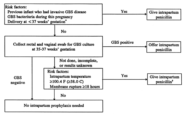 strep b complicating pregnancy icd 10