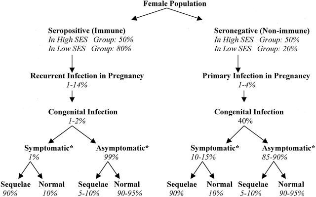 Ebv Serology Chart