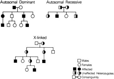 Turner Syndrome Pedigree Chart