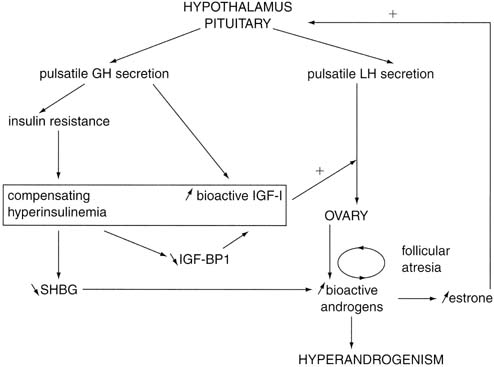 Stages Of Female Puberty Chart