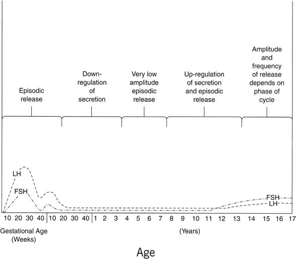 Female Puberty Chart