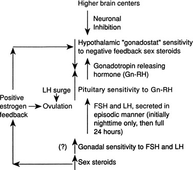 Growth hormone steroid uk