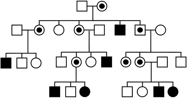 Marfan Syndrome Pedigree Chart