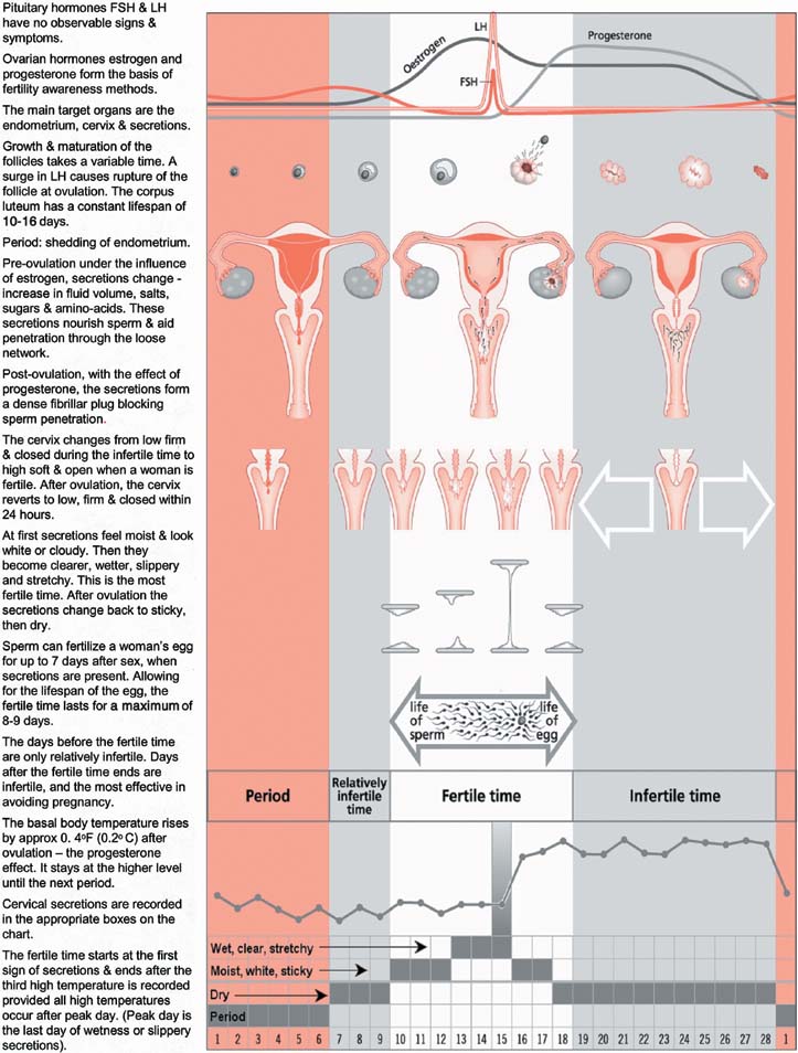 Period Heaviness Chart