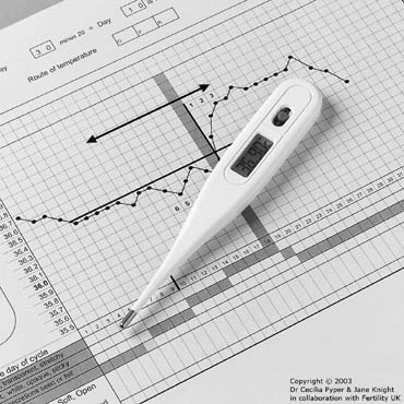 Natural Family Planning Chart Examples