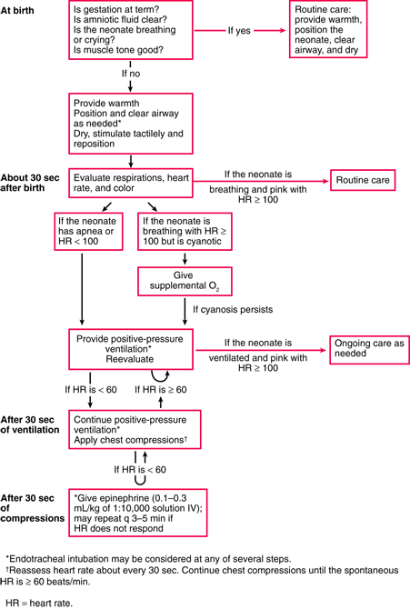 Newborn Assessment Chart