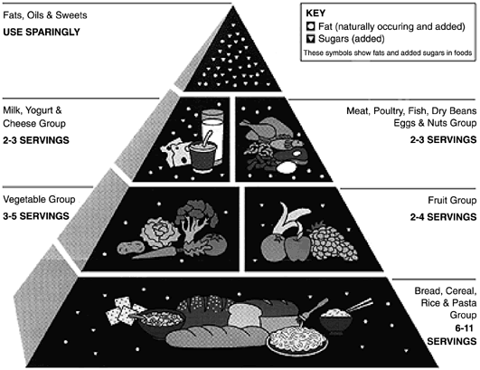 Nutrition in Pregnancy