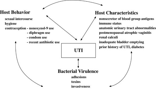 View of BACTERIA ASSOCIATED WITH URINARY TRACT INFECTION IN PREGNANT WOMEN  WITH OVERVIEW OF THEIR ANTIBIOTIC SUSCEPTIBILITY TESTS