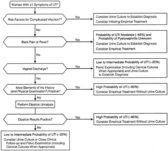 Urinary Tract Infections In Obstetrics And Gynecology Glowm