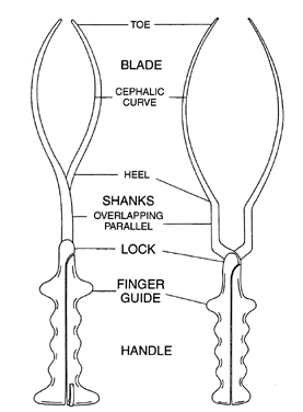 Forceps Delivery And Vacuum Extraction GLOWM