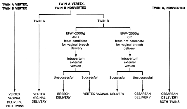 Twins Pregnancy Delivery