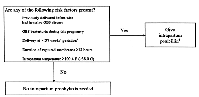 Group b strep and c section