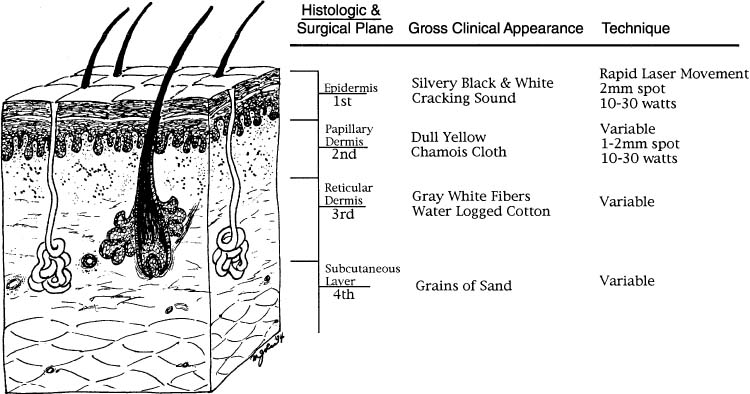 vulvar intraepithelial neoplasia (vin)