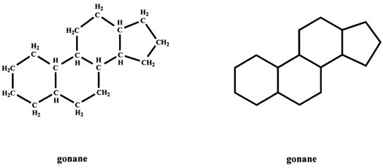 Production Clearance And Measurement Of Steroid Hormones Glowm