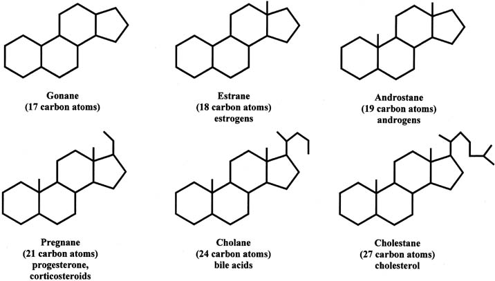 site fiable pour acheter steroide Etics and Etiquette