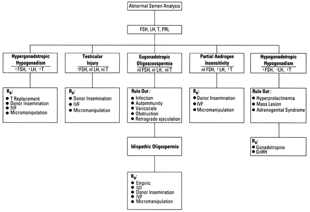 Therapy in Oligozoospermia (Varicocele, Cryptorchidism, Inflammation, and  Seminal Tract Infections)