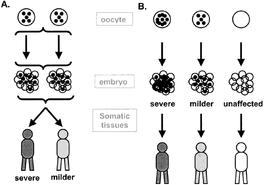 Exceptions and Inheritance