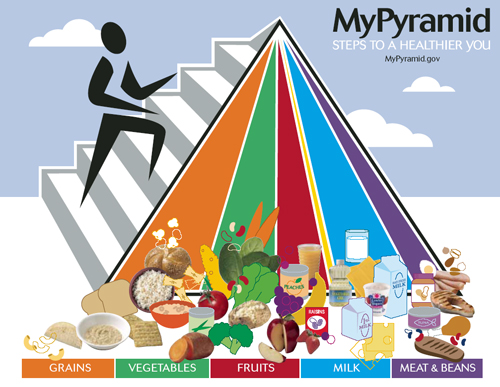 Nutrition in Pregnancy