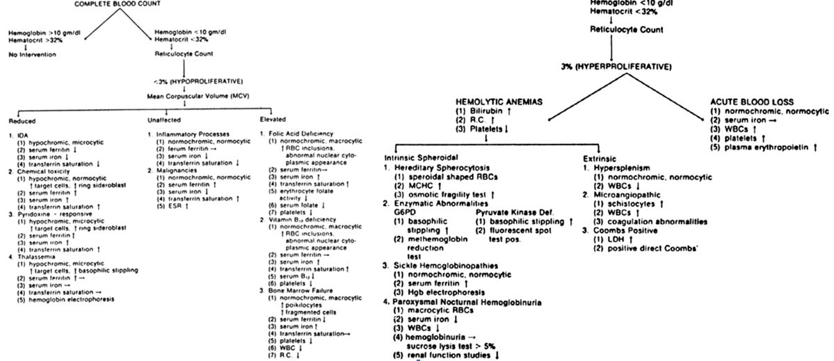 Anemia Associated With Pregnancy Glowm